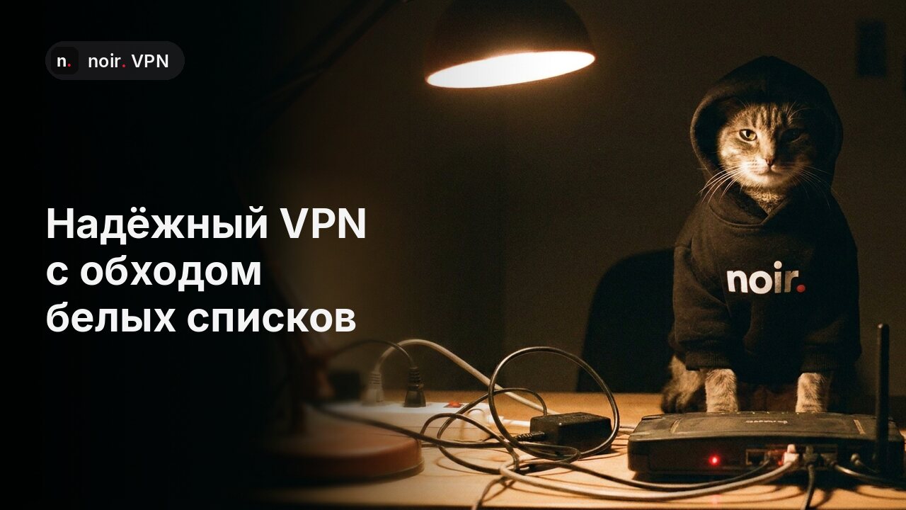 Обложка бота Noir: кот в худи noir.